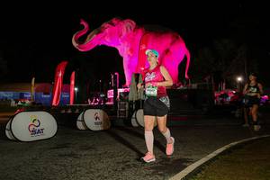 BIB: 
                            <button type="button" onclick="openModal(26534708)" class="btn btn-primary btn-sm float-right btn-popup" data-toggle="modal" data-target=".modal-high-quality">
                        <i class="fas fa-shopping-cart"></i> Add to Cart
                    </button>
                                            <button type="button" onclick="isThisMe(26534708, true)" class="btn btn-success btn-sm float-right btn-popup btn-isme hidden" data-toggle="tooltip" data-placement="bottom" title="นี่คือรูปของคุณใช่ไหม คลิกที่นี่เพื่อเอาเข้าอัลบั้ม">
                        <i class="fas fa-plus"></i> Add to album
                    </button>
                    <button type="button" onclick="isThisMe(26534708, false)" class="btn btn-warning btn-sm float-right btn-popup btn-isnotme hidden">
                        <i class="fas fa-ban"></i> Remove from album
                    </button>